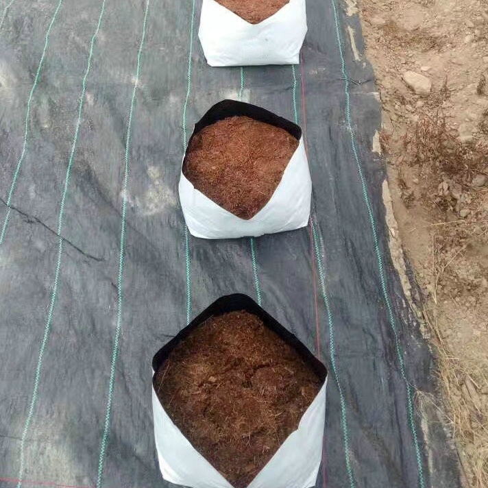 Plastic hydroponic plants grow bags Grow Bag Wholesale