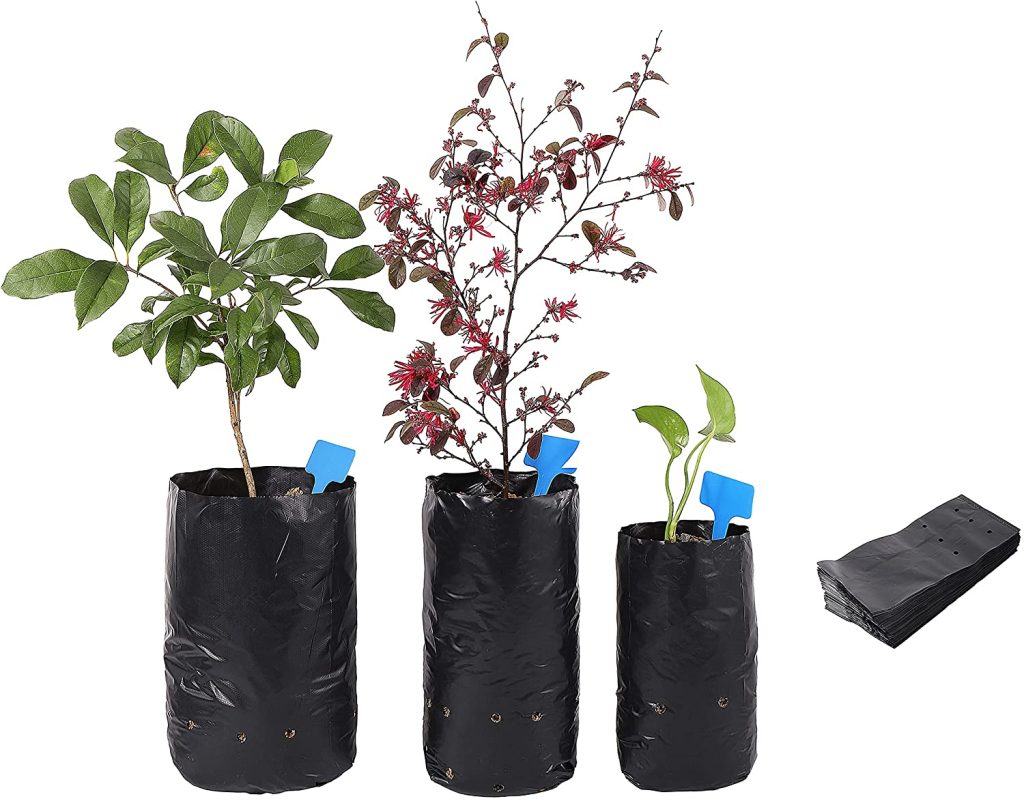 Black plastic plant growing bag Grow Bag Wholesale