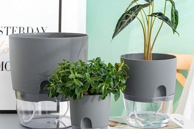 Boutique hot selling plastic plant pots (3)