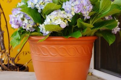 Brown large size plastic flower pot (1)