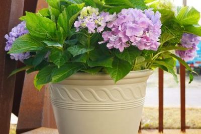 Brown large size plastic flower pot (2)