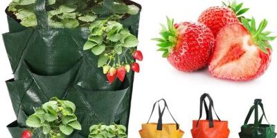 Colored plastic hanging grow bags (4)