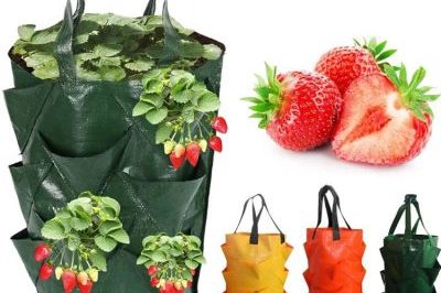 Colored plastic hanging grow bags (4)