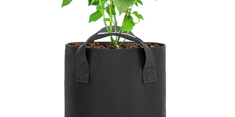 Fabric grow bags for indoor use (3)