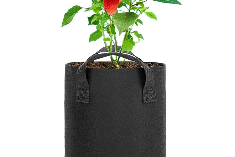 Fabric grow bags for indoor use (3)