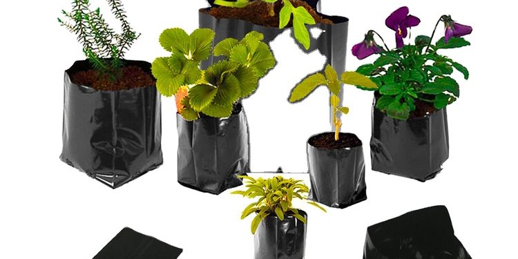 Factory wholesale plastic grow bags (1)