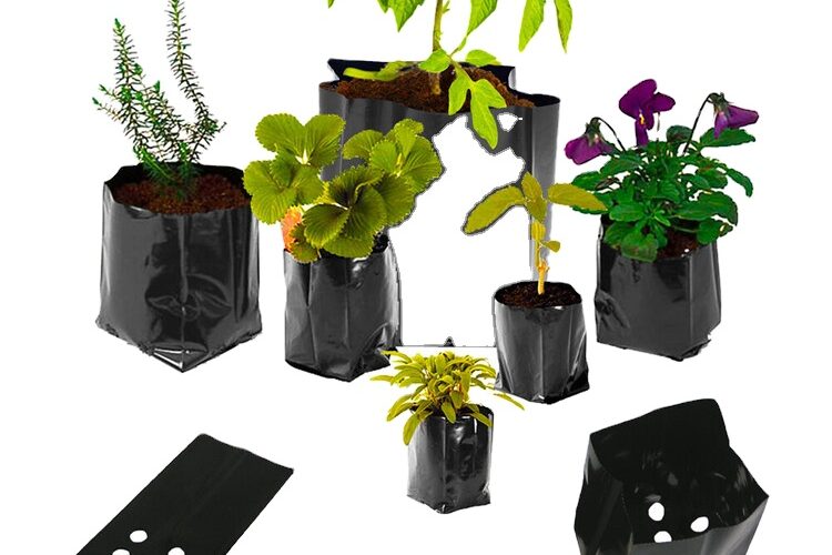 Factory wholesale plastic grow bags (1)
