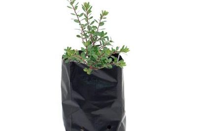 Folding design plastic grow bag (1)