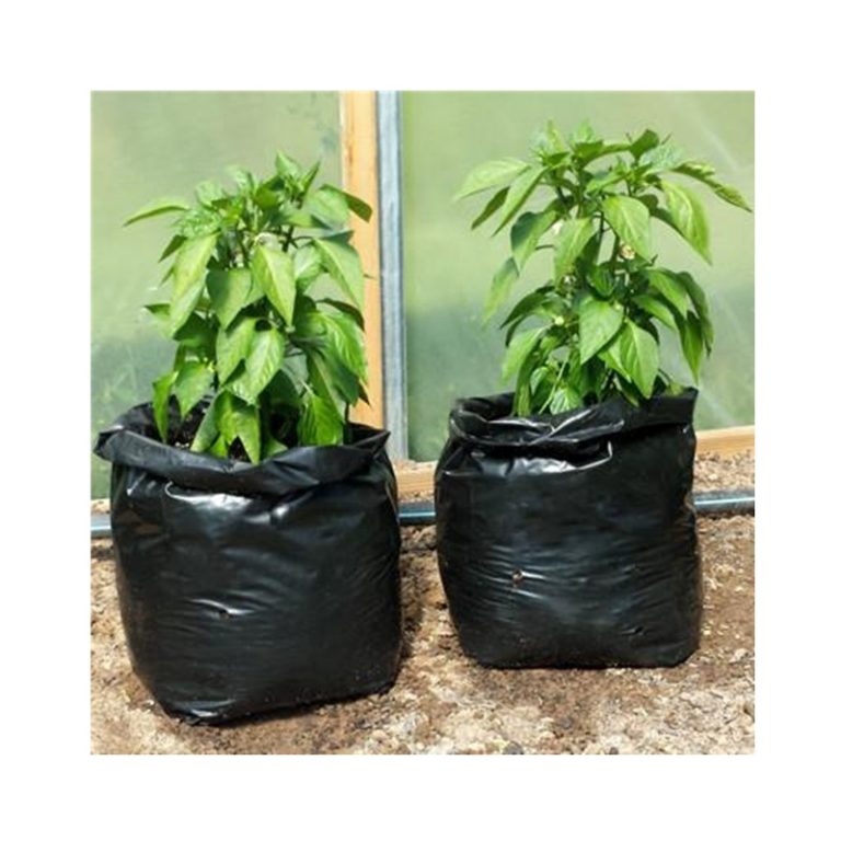 Folding design plastic grow bag Grow Bag Wholesale