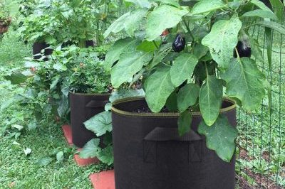 Garden Non Woven Felt Grow Bags (3)