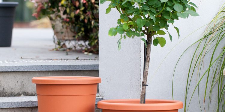 Gardening planting outdoor plastic pots (1)