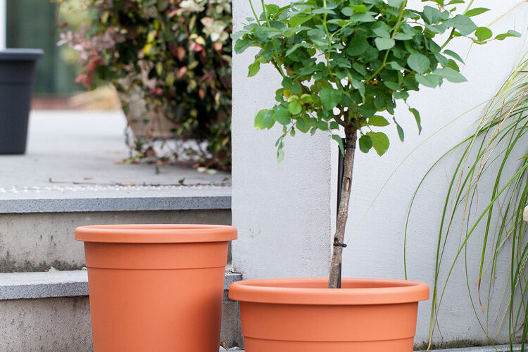 Gardening planting outdoor plastic pots (1)