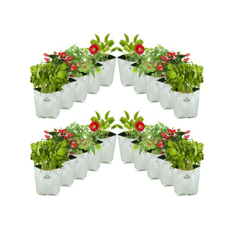 Greenhouses use plastic grow bags Grow Bag Wholesale