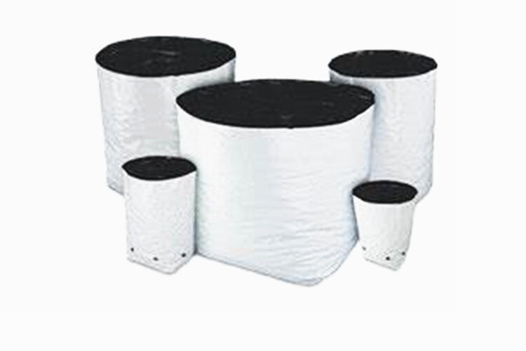 Greenhouses use plastic grow bags (4)