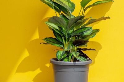 Grey flower pot with drainage holes (4)