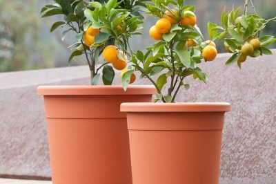 Grey flower pot with drainage holes (6)