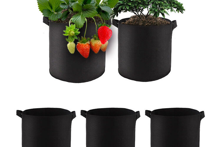 High-quality fabric grow bags (4)