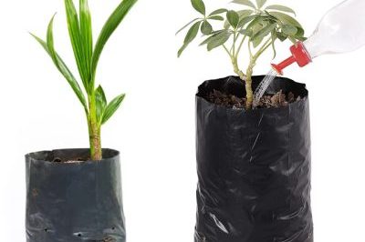 High quality soft plastic grow bag (6)