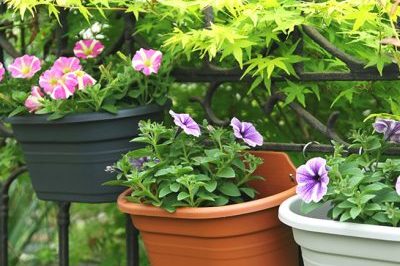 Home wall mounted plastic flower pot (2)