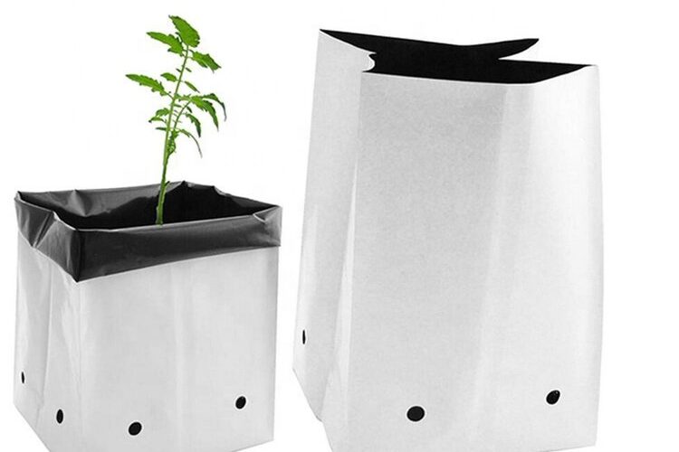Low price wholesale plastic grow bags (2)
