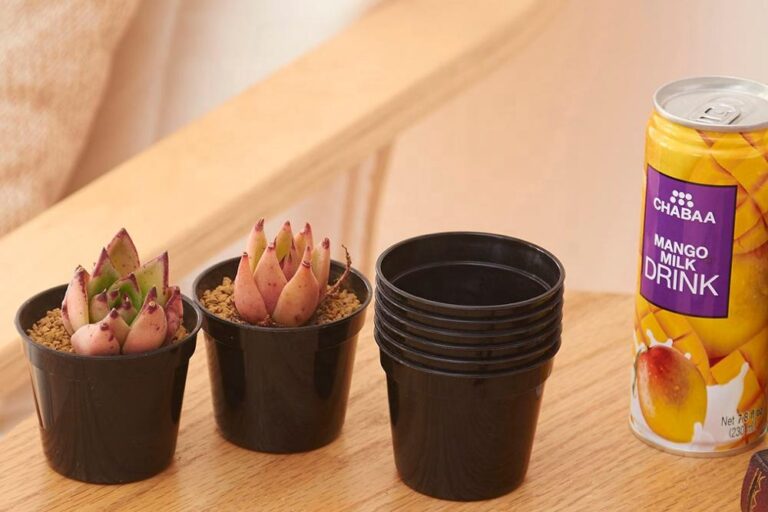 Mini Design Plastic Nursery Pots (6)