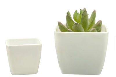 Mini style plastic plant pot (5)