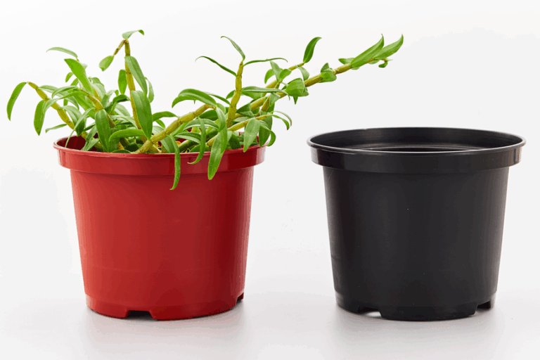 Nursery pots for small plants plastic (4)