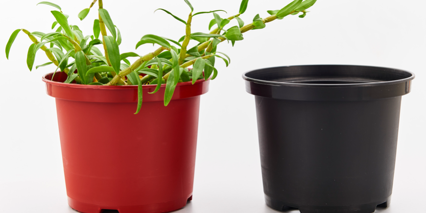 Nursery pots for small plants plastic (4)
