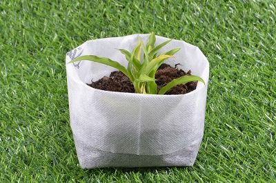 Outdoor white fabric grow bag (4)