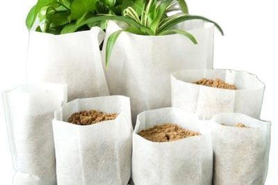 Outdoor white fabric grow bag (5)