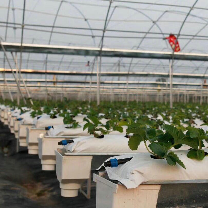 Plastic hydroponic plants grow bags Grow Bag Wholesale