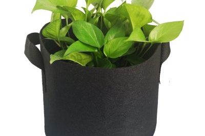 Portable Design Fabric Grow Bag (5)