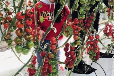 Square breathable plastic grow bag (5)