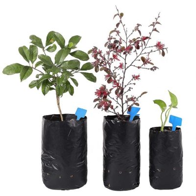 Buy SINGHAL 15x9 inch Durable Grow Bag, 0629AFF8DJA Online in India at Best  Prices
