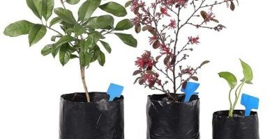 Sturdy and breathable plastic grow bags (4)