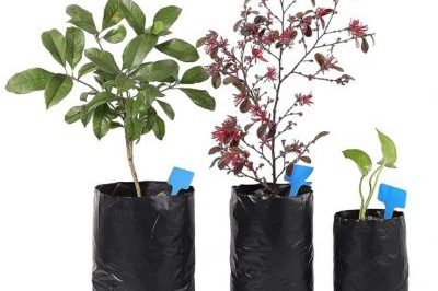 Sturdy and breathable plastic grow bags (4)