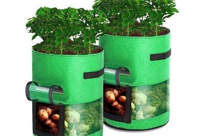 Translucent Design Fabric Grow Bags (1)