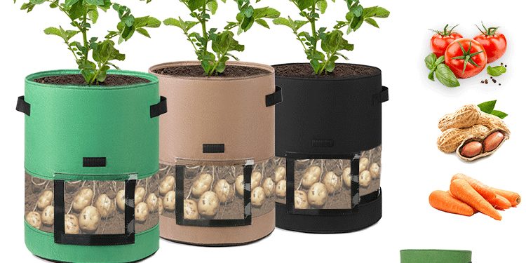 Translucent Design Fabric Grow Bags (4)