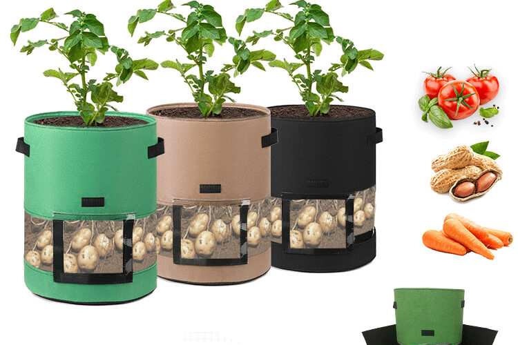 Translucent Design Fabric Grow Bags (4)