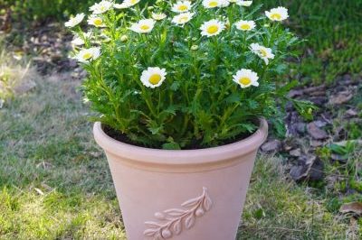Unbreakable patterned plastic flower pot (3)