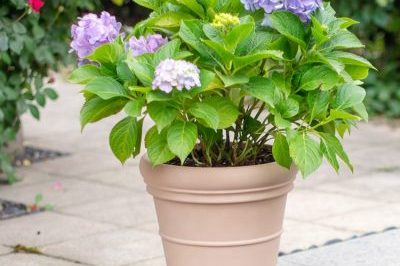 Wholesale garden plastic resin planter (2)