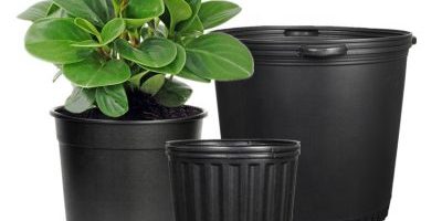 Nursery Pots