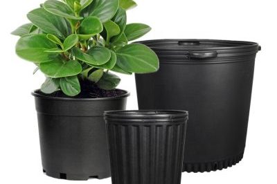 Nursery Pots