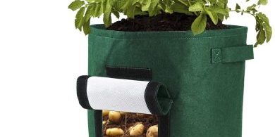 Woven fabric grow bags (1)