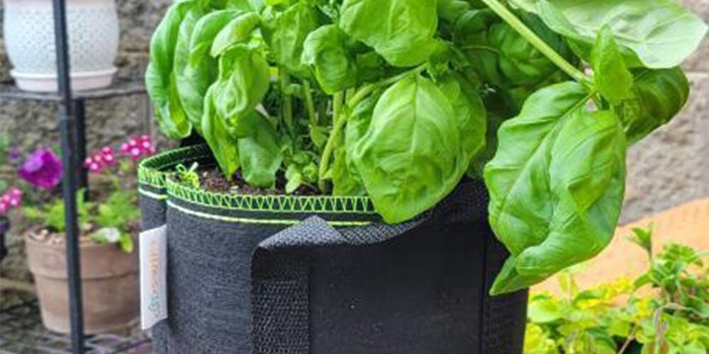 Organic vegetable fabric grow bag for sustainable gardening