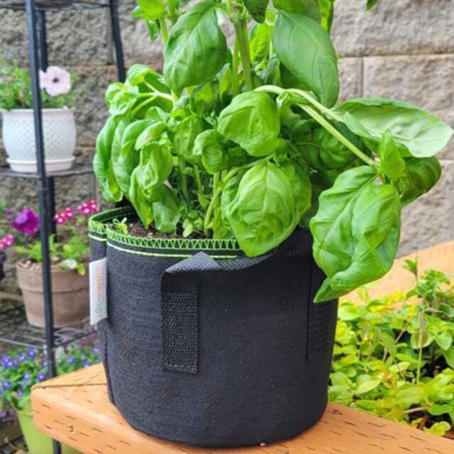 Organic vegetable fabric grow bag for sustainable gardening