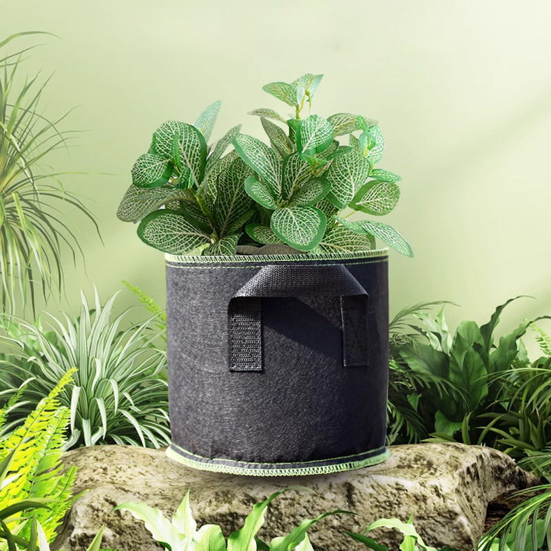 Organic vegetable fabric grow bag for sustainable gardening