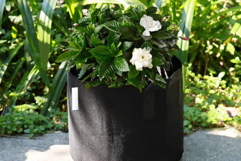 Breathable and reusable fabric grow bag for garden use (2) Breathable garden fabric grow bag for vegetables and flowers