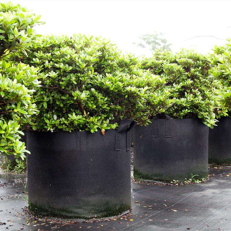 Breathable garden fabric grow bag for vegetables and flowers