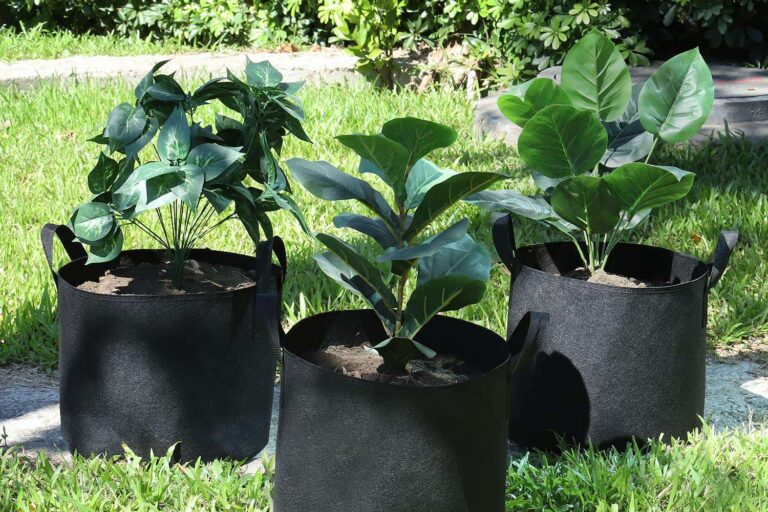 Breathable garden fabric grow bag for vegetables and flowers